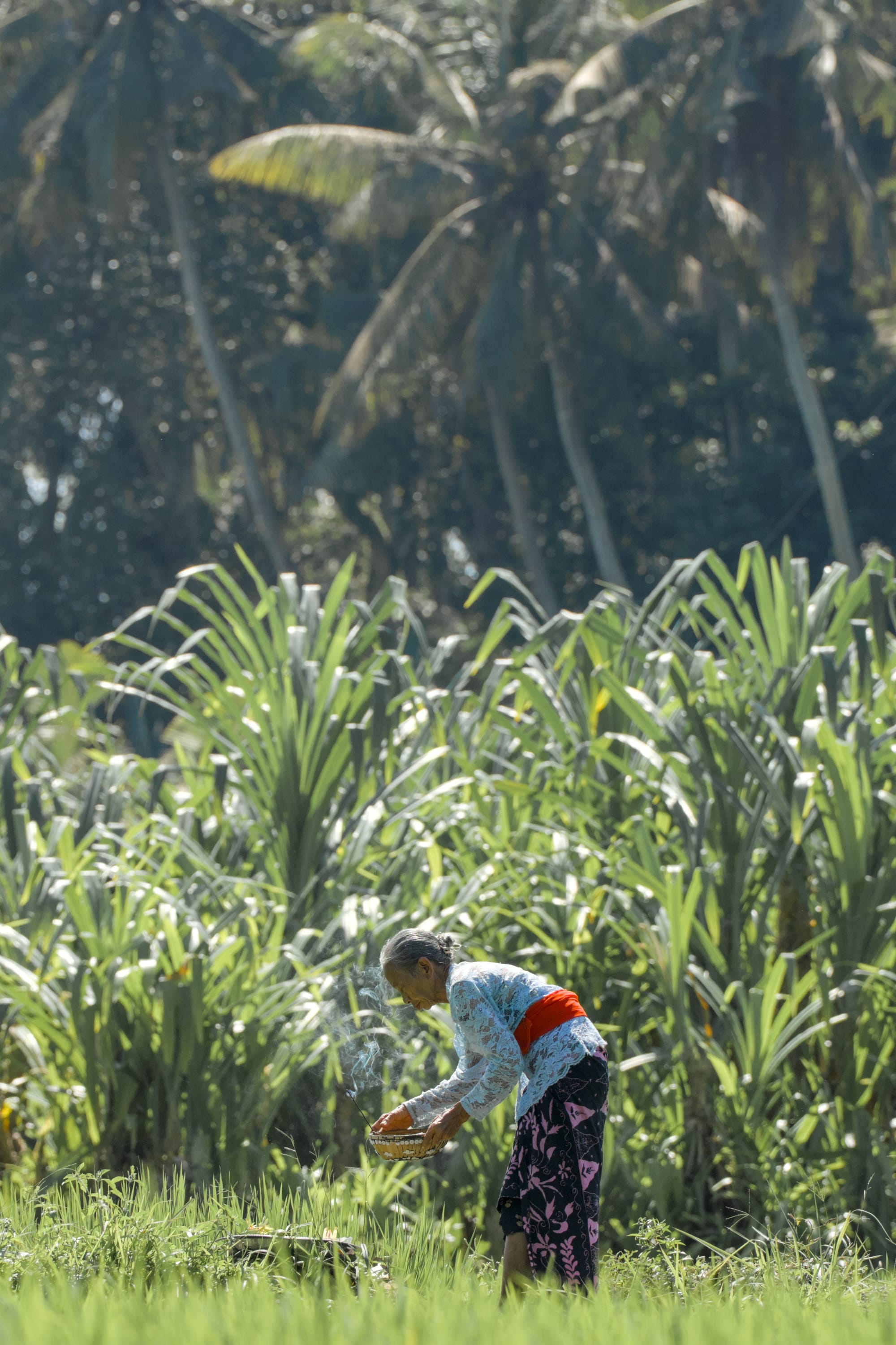 Hunting in Ubud