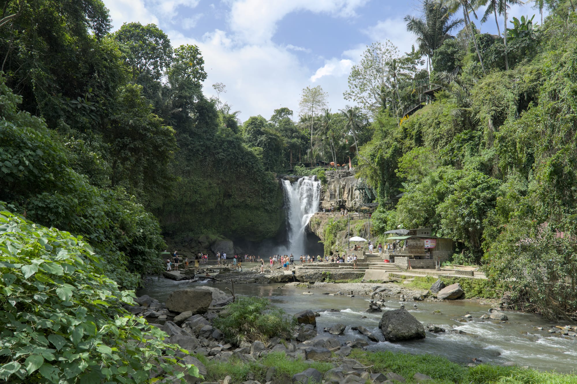 Hunting in Ubud