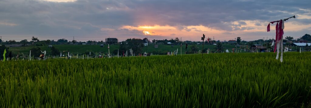 Exploring Bali