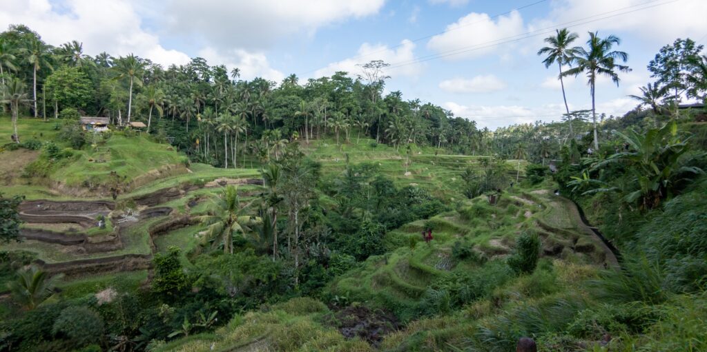 Exploring Bali